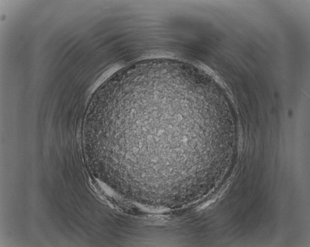 X0000084581137200703091830