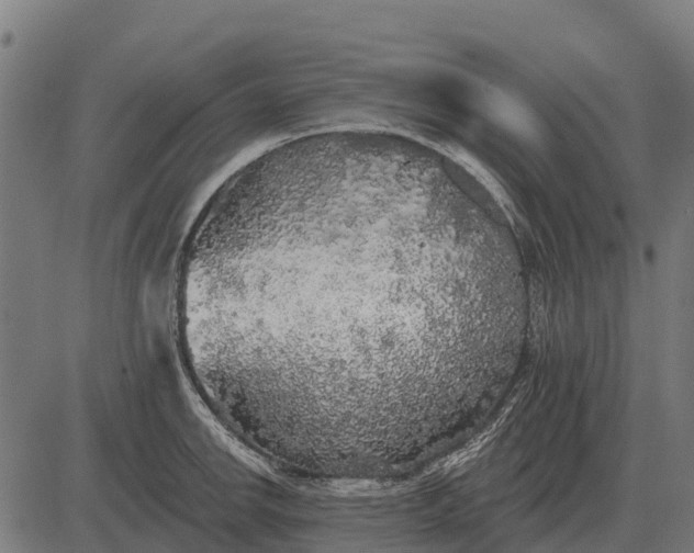 X0000084581142200703091830