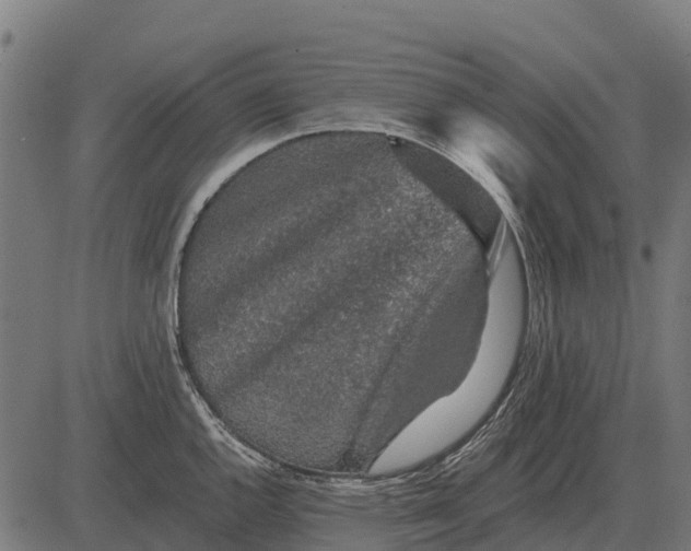 X0000084581144200703091830