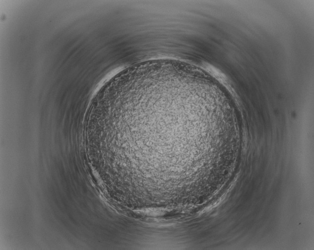 X0000084581145200703091830