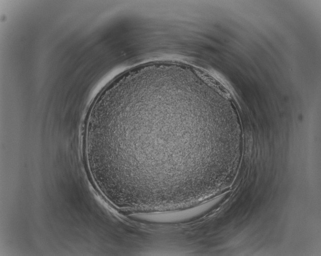 X0000084581151200703091830