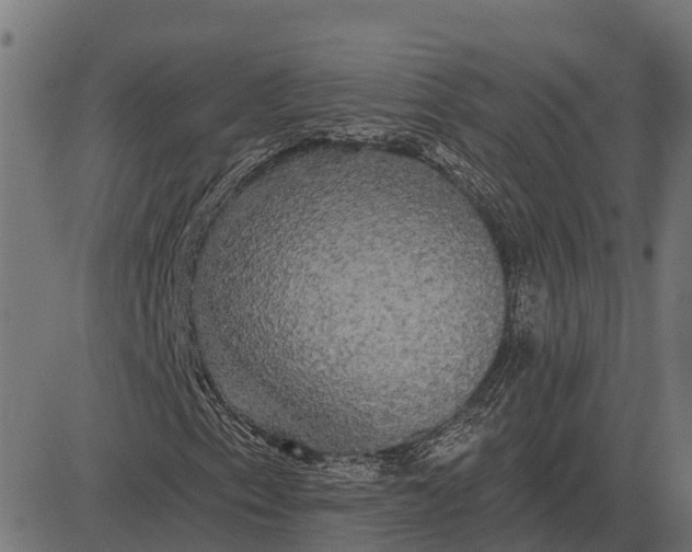 X0000084581153200703091829