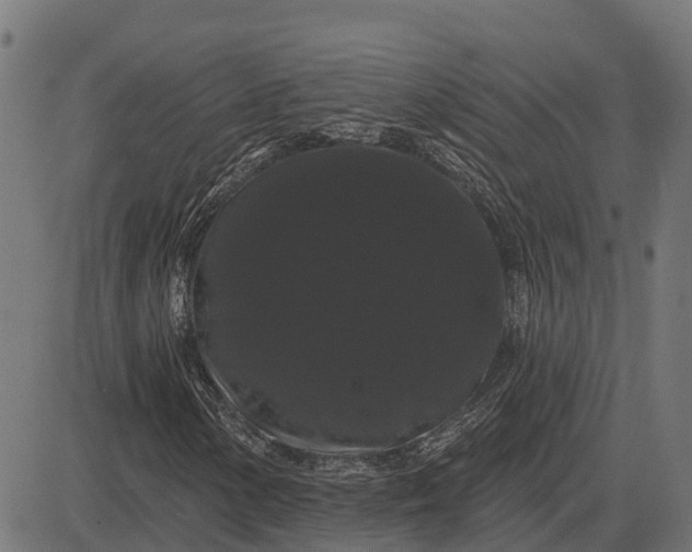 X0000084581154200703091829