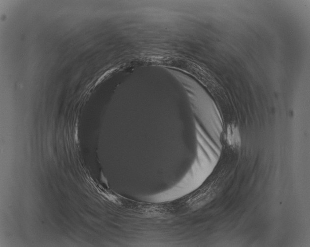X0000084581155200703091829