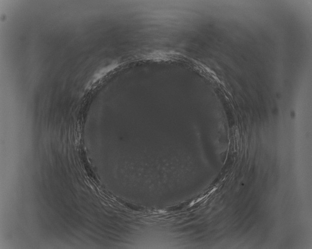 X0000084581158200703091829