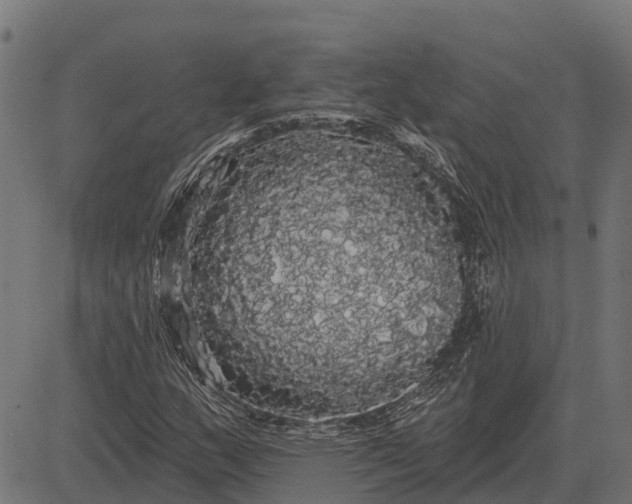 X0000084581159200703091829