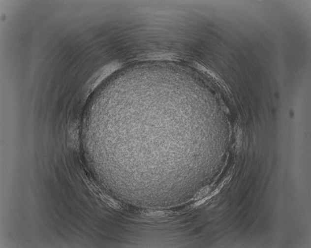 X0000084581162200703091829