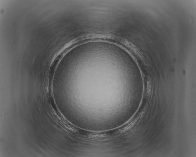 X0000084581165200703091829