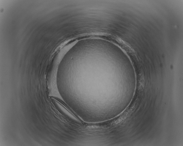 X0000084581169200703091829