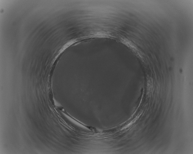 X0000084581170200703091829