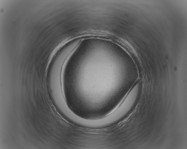 X0000084581172200703091829