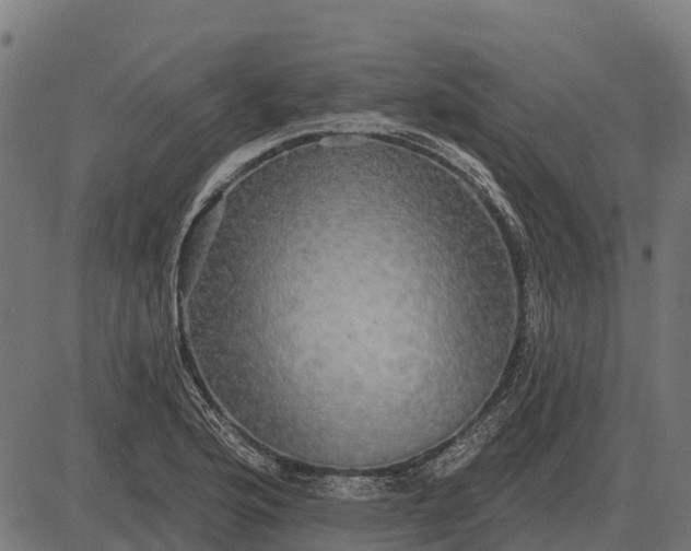 X0000084581176200703091829