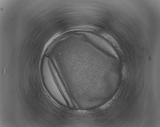 X0000084581180200703091829