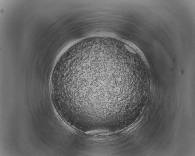 X0000084581199200703091829