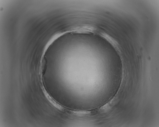 X0000084581200200703091829