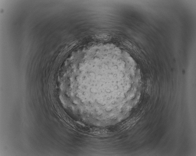 X0000084581201200703091828