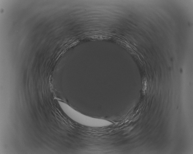 X0000084581202200703091828