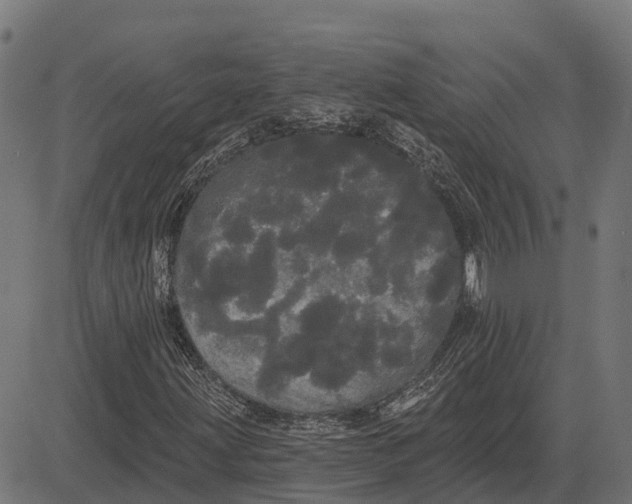 X0000084581203200703091828