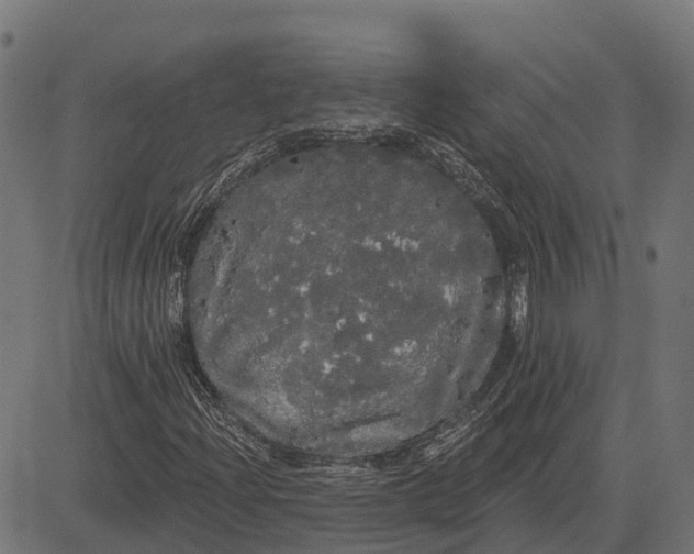 X0000084581204200703091828