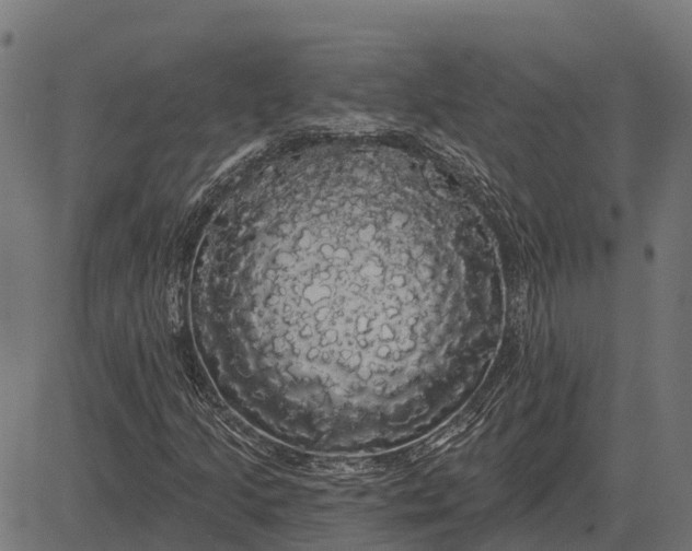 X0000084581205200703091828