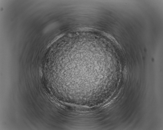 X0000084581209200703091828