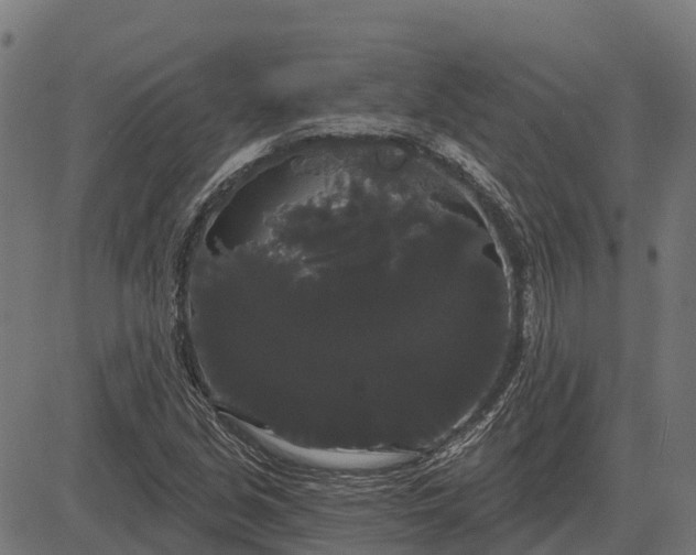 X0000084581213200703091828