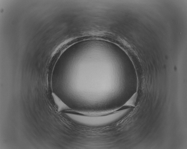 X0000084581214200703091828