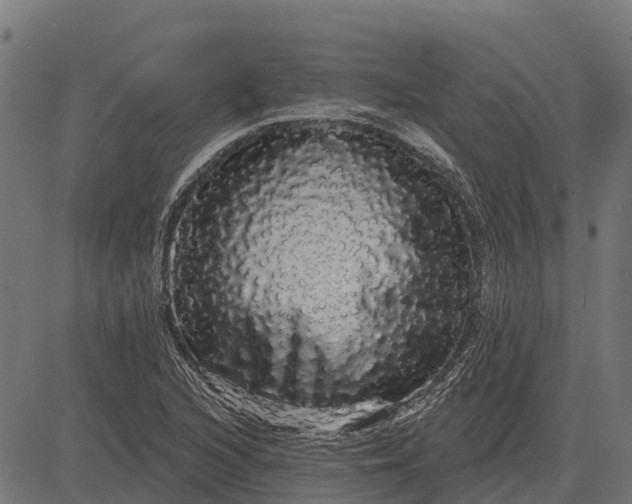 X0000084581216200703091828