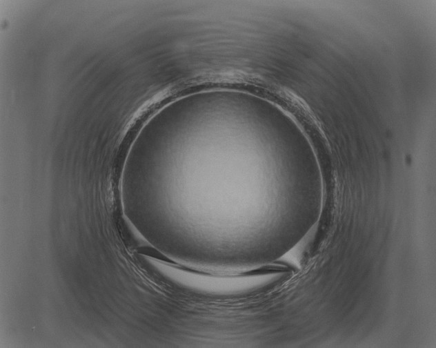 X0000084581218200703091828