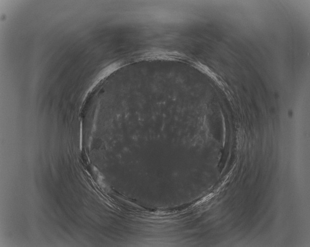 X0000084581219200703091828