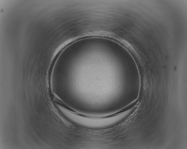 X0000084581230200703091828