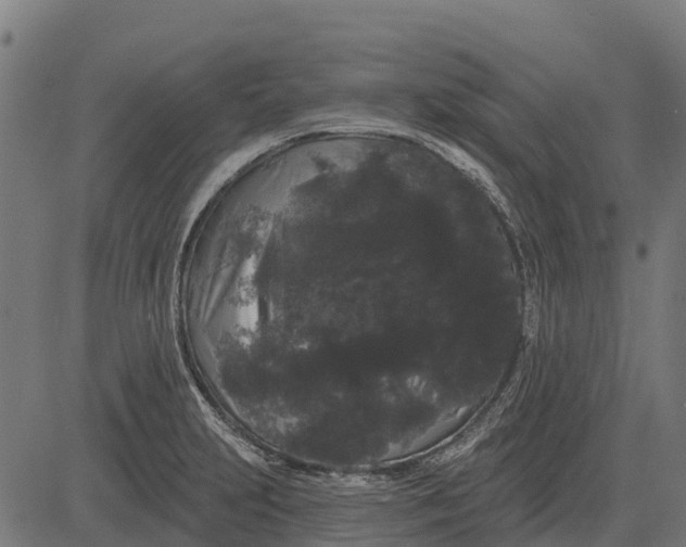 X0000084581231200703091828