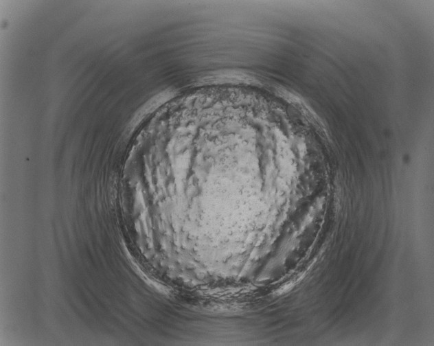 X0000084581233200703091828