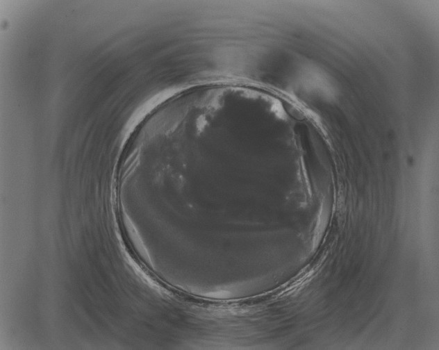 X0000084581239200703091828