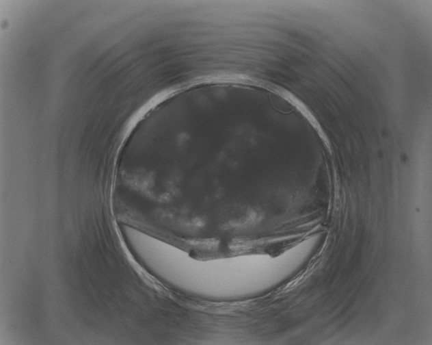 X0000084581245200703091828