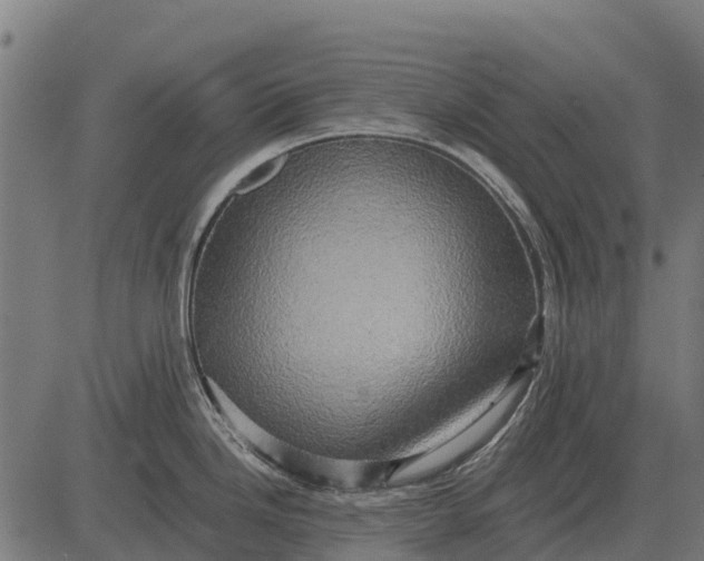 X0000084581246200703091828