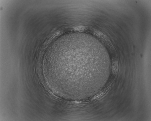 X0000084581249200703091828