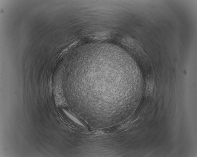 X0000084581250200703091828