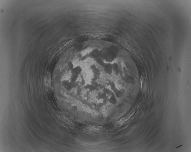 X0000084581251200703091828