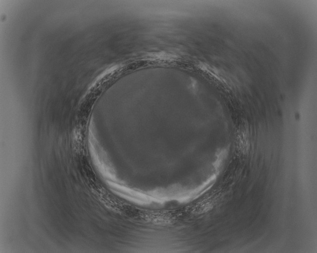 X0000084581254200703091828