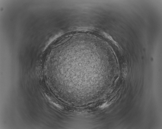 X0000084581256200703091828
