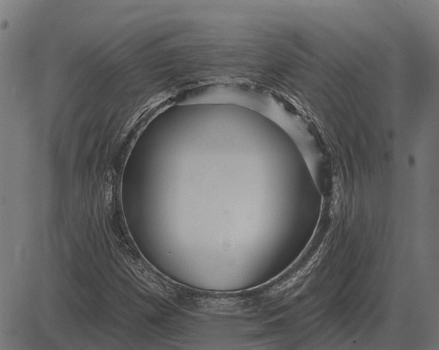 X0000084581257200703091828