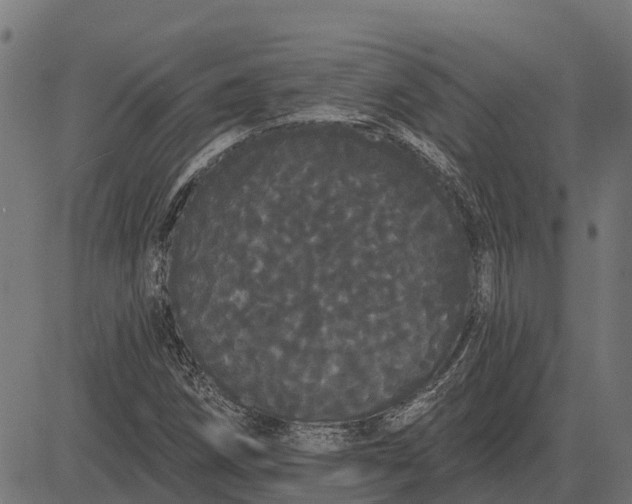 X0000084581258200703091828