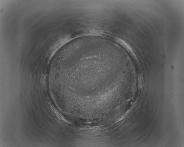 X0000084581260200703091828