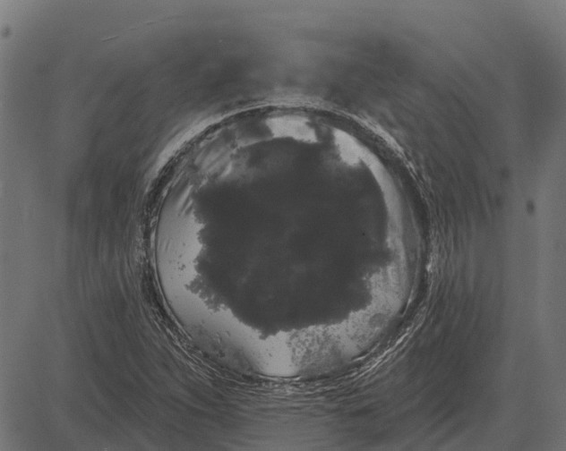 X0000084581263200703091827