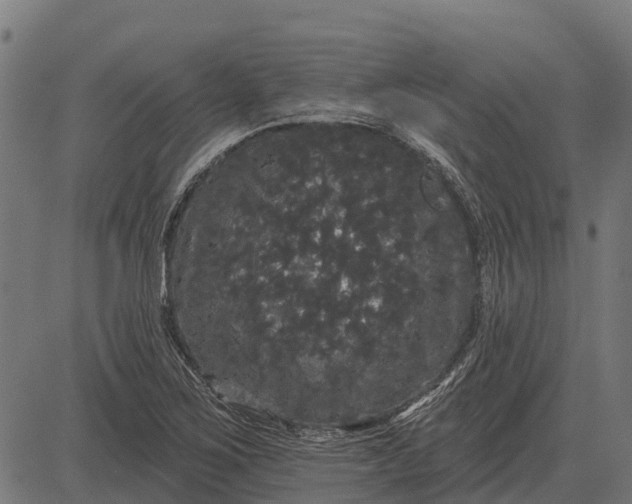 X0000084581267200703091827