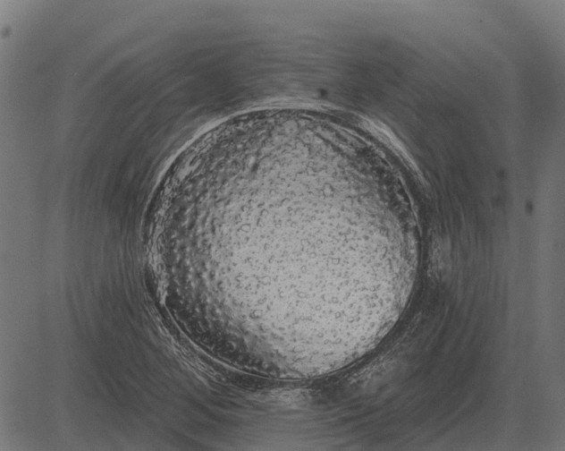X0000084581268200703091827