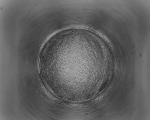X0000084581272200703091827