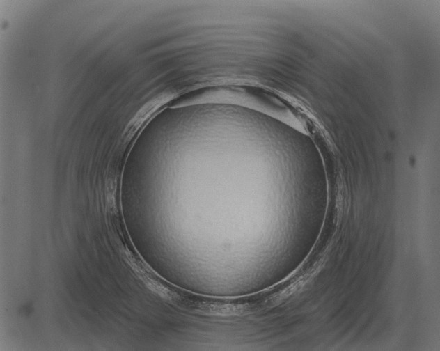 X0000084581273200703091827