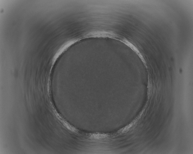 X0000084581277200703091827